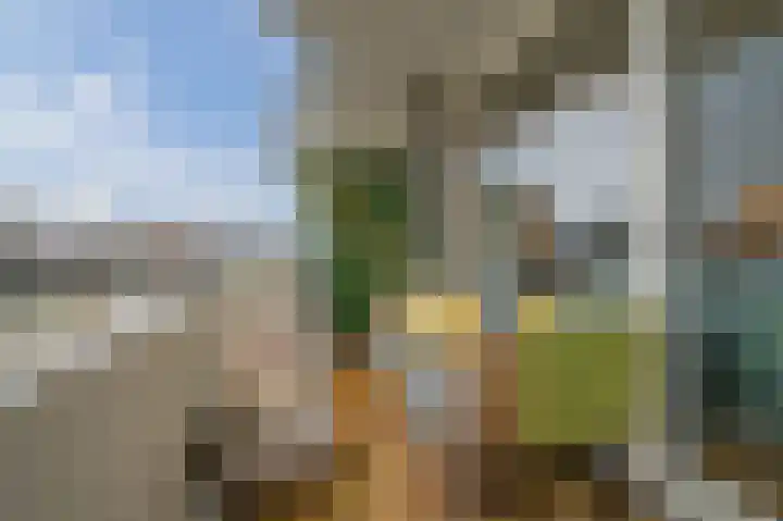 Boschdijk 239 Eindhoven thumbnail 4
