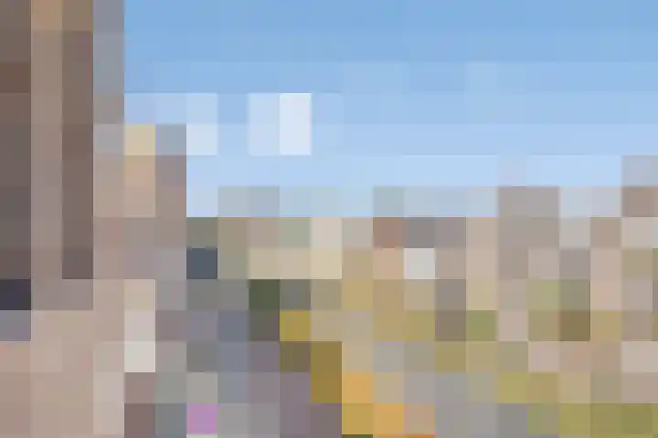 Boschdijk 241 B Eindhoven thumbnail 23