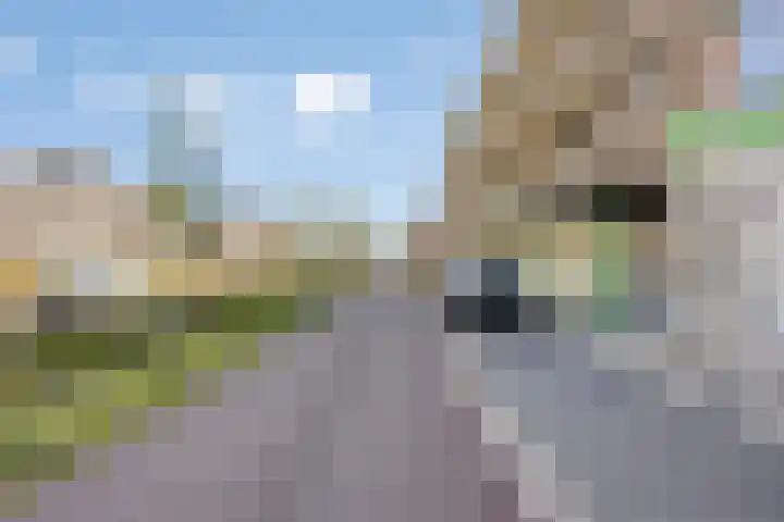 Boschdijk 241 B Eindhoven thumbnail 6
