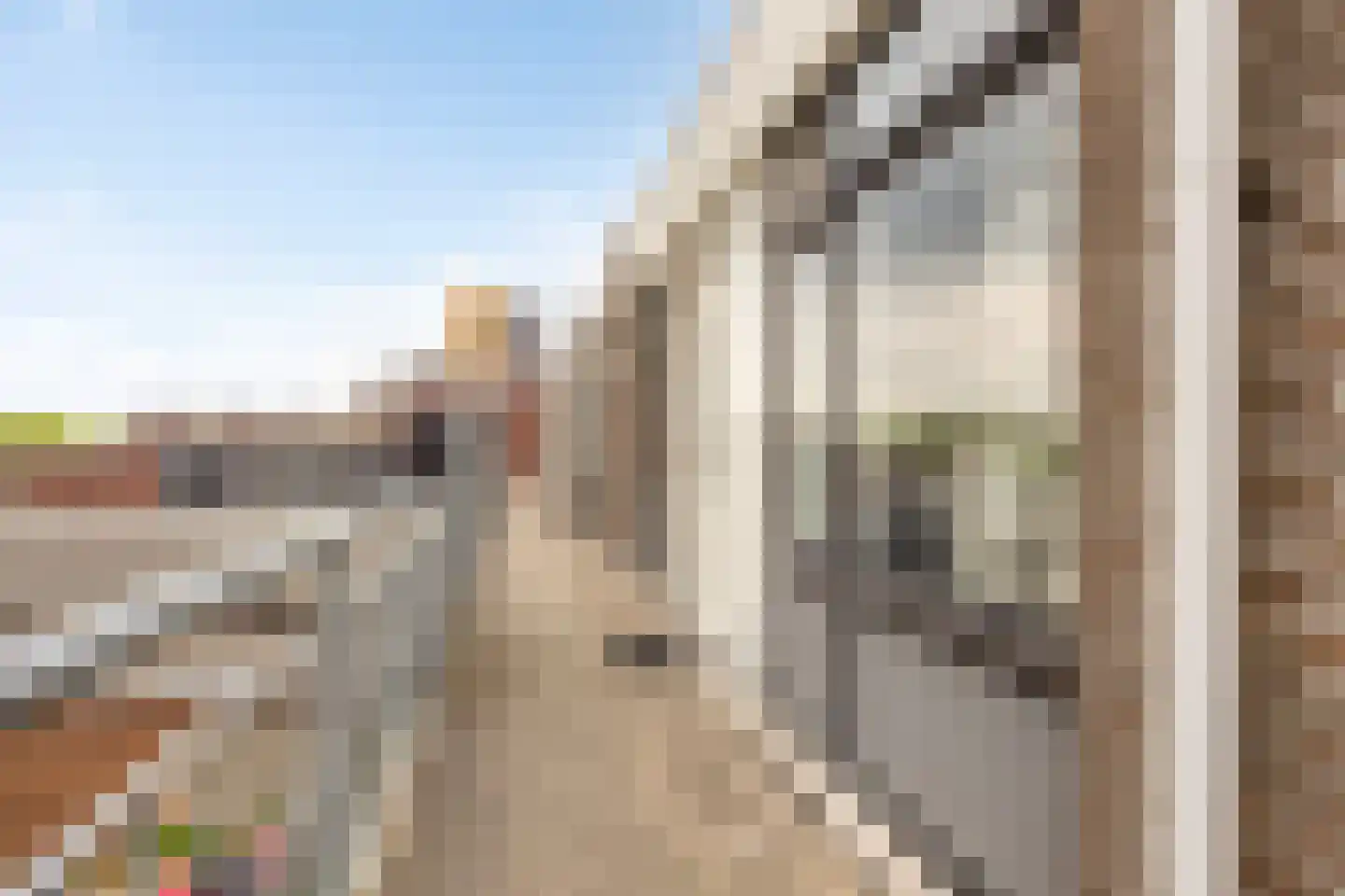 Boschdijk 243 A Eindhoven thumbnail 12