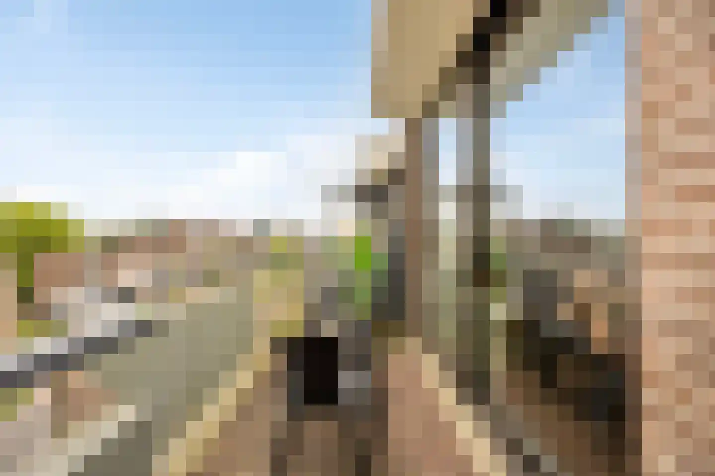 Boschdijk 243 A Eindhoven thumbnail 35