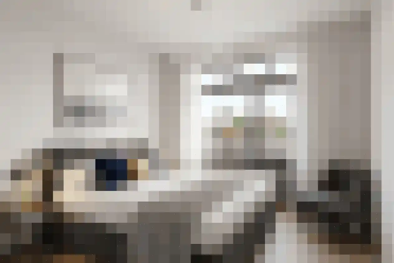 Boschdijk 243 A Eindhoven thumbnail 6