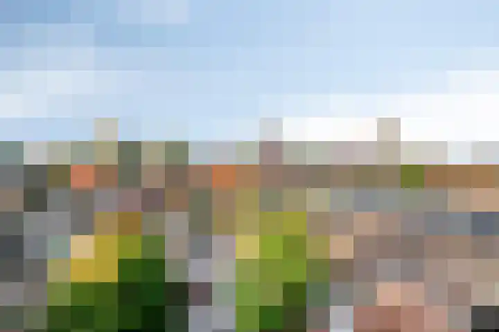 Boschdijk 243 Eindhoven thumbnail 11