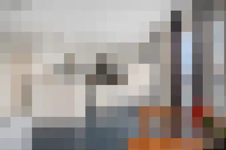 Boschdijk 243 Eindhoven thumbnail 24