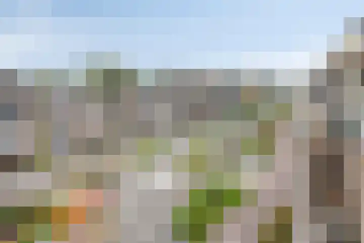 Boschdijk 243 Eindhoven thumbnail 34