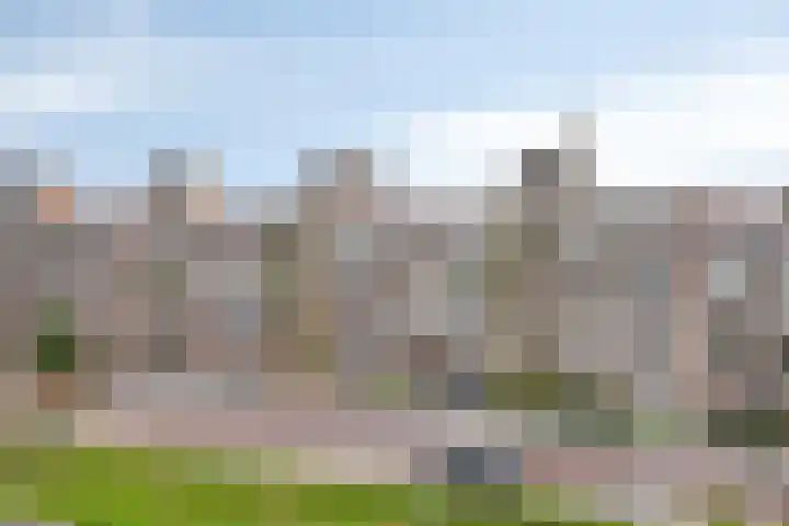 Boschdijk 243 Eindhoven thumbnail 35