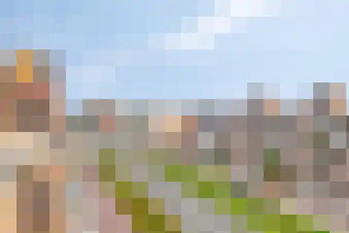 Boschdijk 243 Eindhoven thumbnail 36