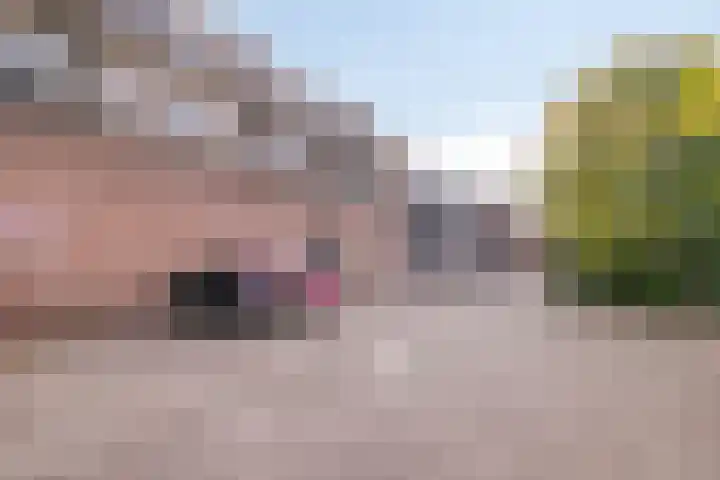 Boschdijk 243 Eindhoven thumbnail 37