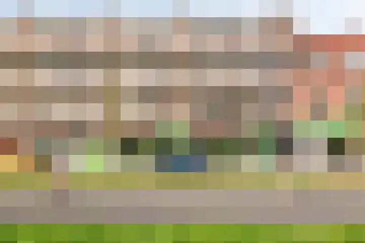 Boschdijk 243 Eindhoven thumbnail 38