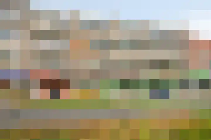 Boschdijk 243 Eindhoven thumbnail 39