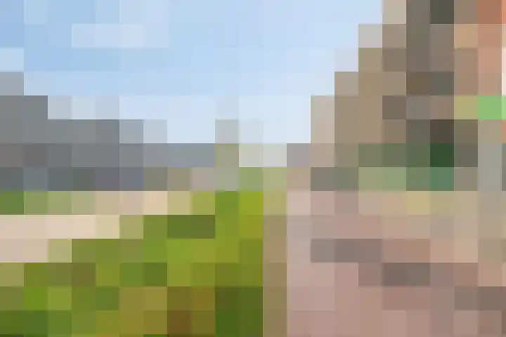 Boschdijk 243 Eindhoven thumbnail 40