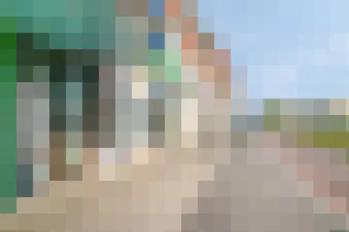 Boschdijk 243 Eindhoven thumbnail 41