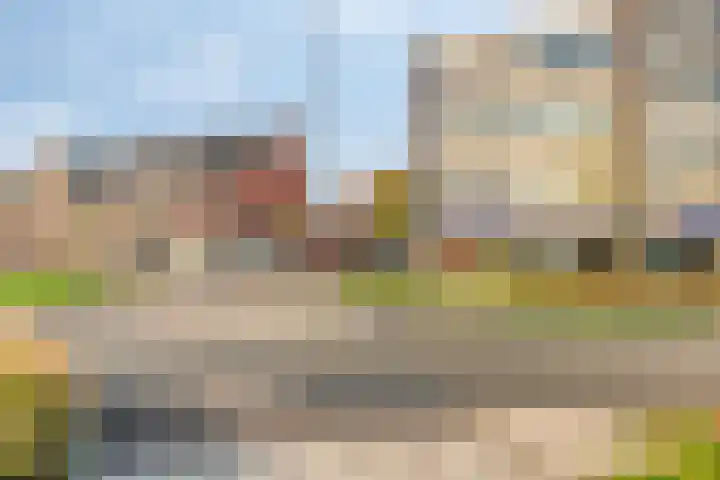 Boschdijk 243 Eindhoven thumbnail 42