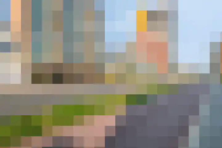 Boschdijk 243 Eindhoven thumbnail 43