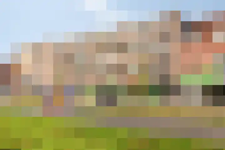 Boschdijk 243 Eindhoven thumbnail 6
