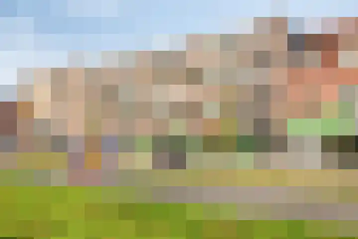 Boschdijk 243 Eindhoven thumbnail 7