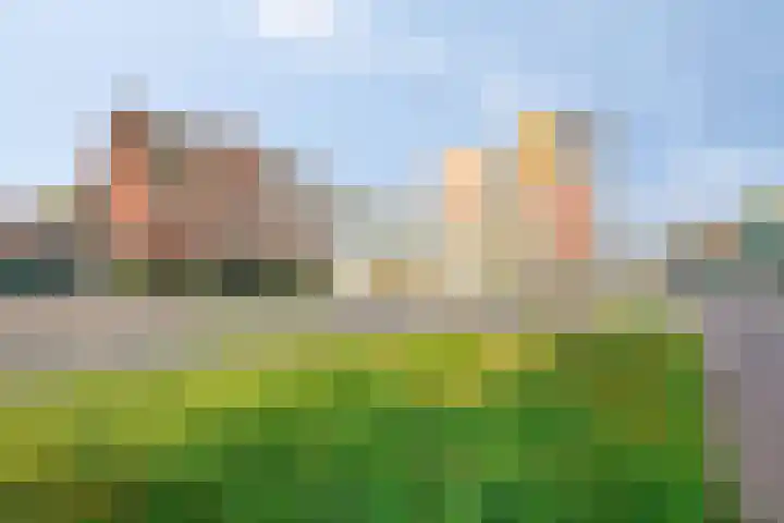 Boschdijk 243 Eindhoven thumbnail 8