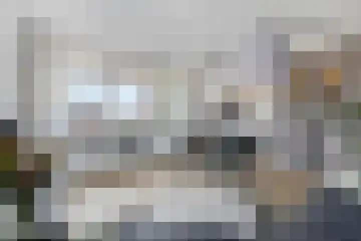 Boschdijk 383 09 Eindhoven thumbnail 10