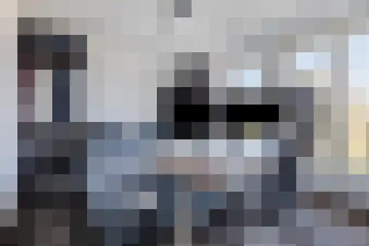 Boschdijk 383 09 Eindhoven thumbnail 19