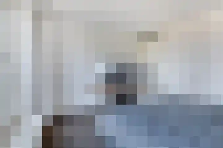Boschdijk 383 09 Eindhoven thumbnail 20