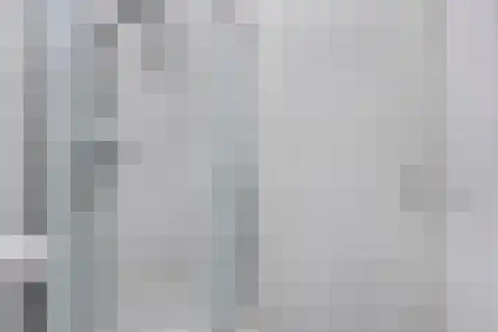 Boschdijk 383 09 Eindhoven thumbnail 23