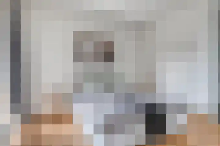 Boschdijk 383 11 Eindhoven thumbnail 16