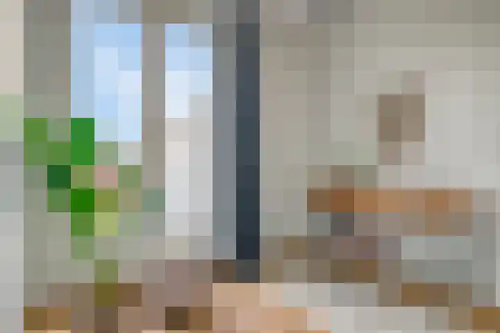 Boschdijk 383 11 Eindhoven thumbnail 19