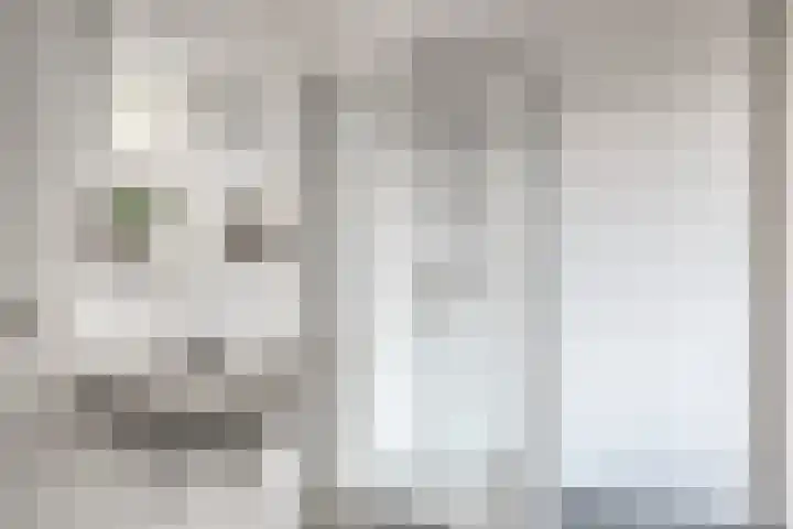 Boschdijk 383 11 Eindhoven thumbnail 20