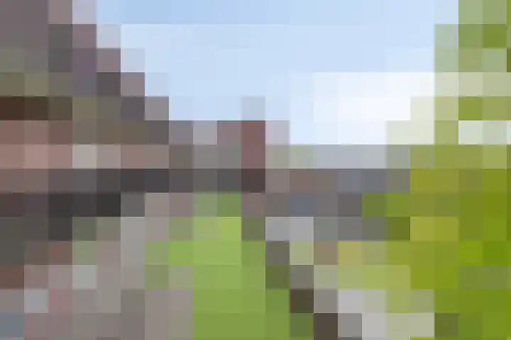Boschdijk 383 11 Eindhoven thumbnail 27