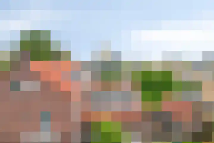 Boschdijk 383 11 Eindhoven thumbnail 30