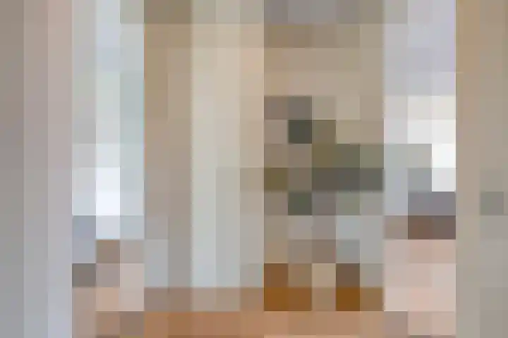 Boschdijk 383 11 Eindhoven thumbnail 6
