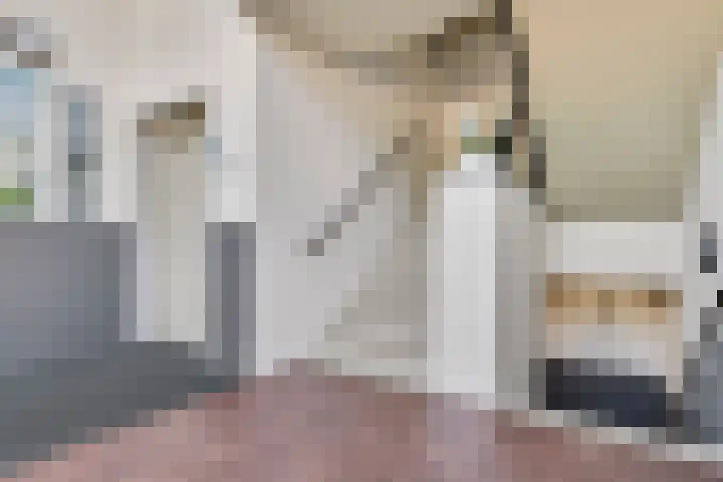 Boschdijk 383 19 Eindhoven thumbnail 29
