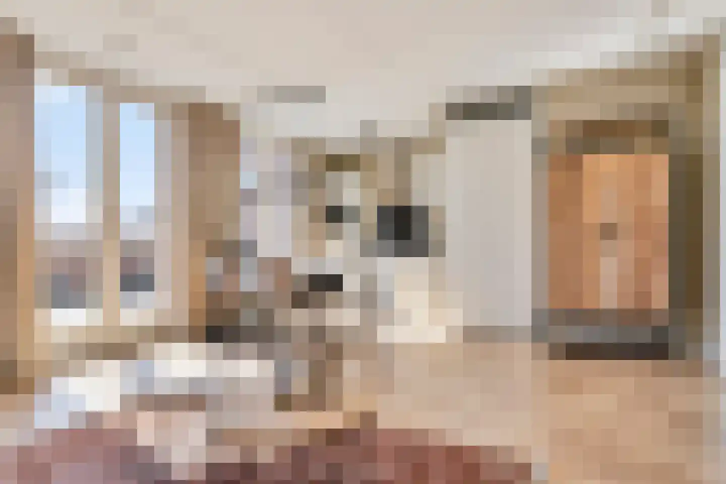 Boschdijk 383 19 Eindhoven thumbnail 4