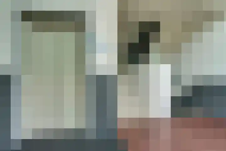Boschdijk 383 25 Eindhoven thumbnail 12