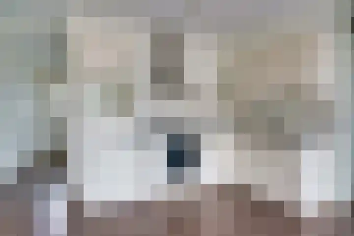 Boschdijk 383 25 Eindhoven thumbnail 23