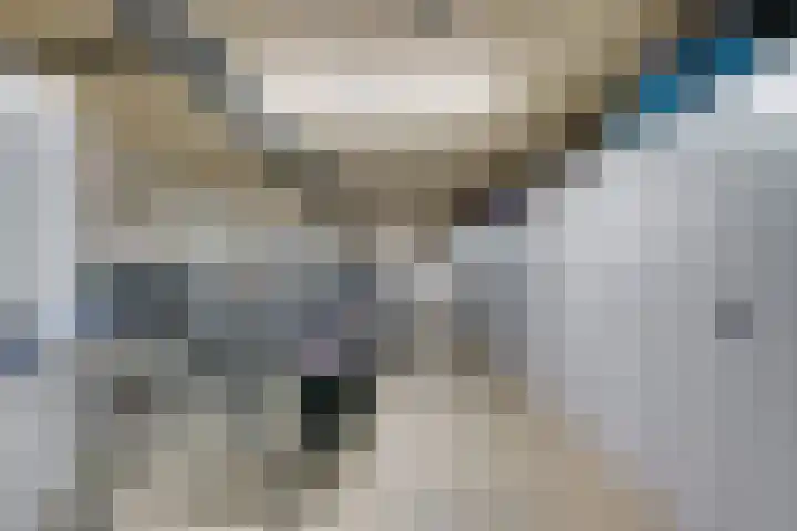 Boschdijk 383 25 Eindhoven thumbnail 34