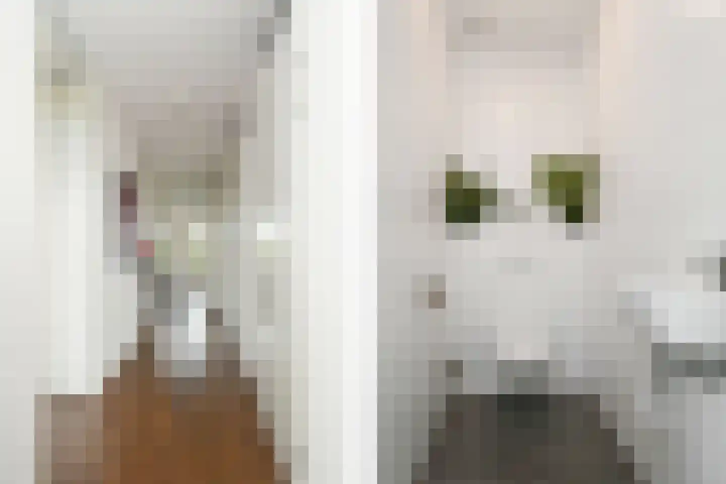 Boschdijk 383 31 Eindhoven thumbnail 4