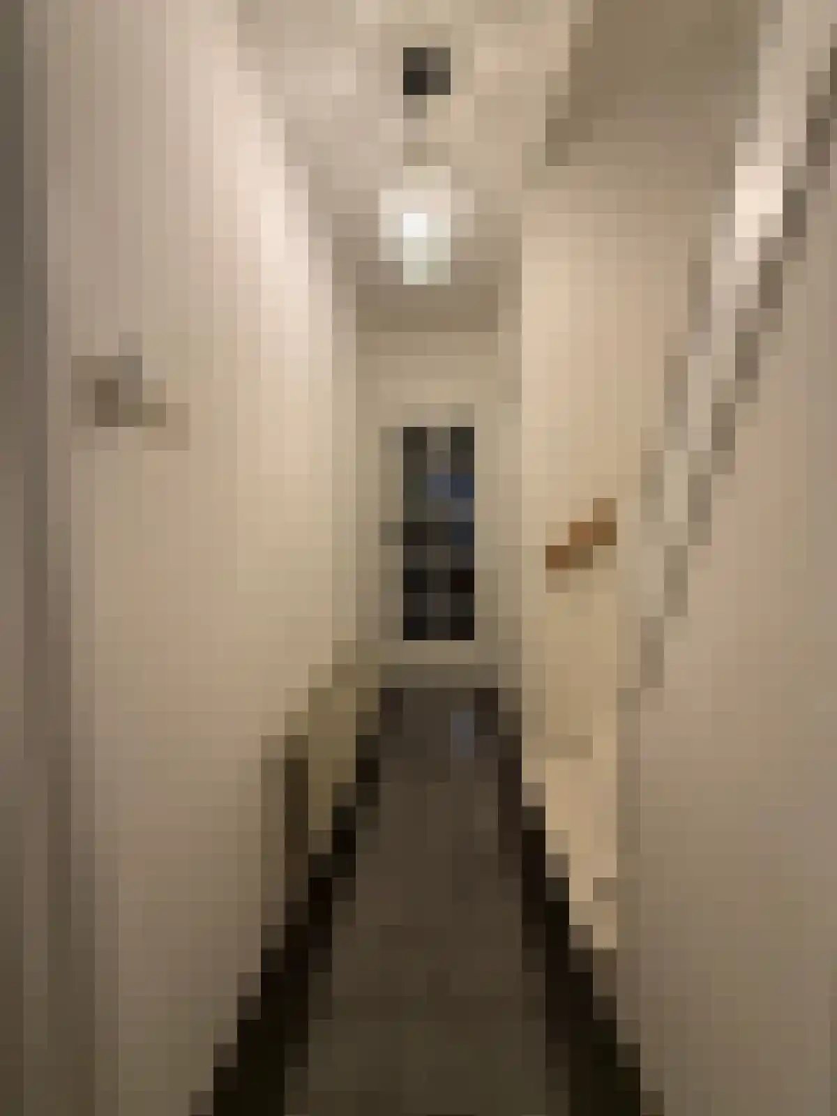 Boschdijk 405 Eindhoven thumbnail 4
