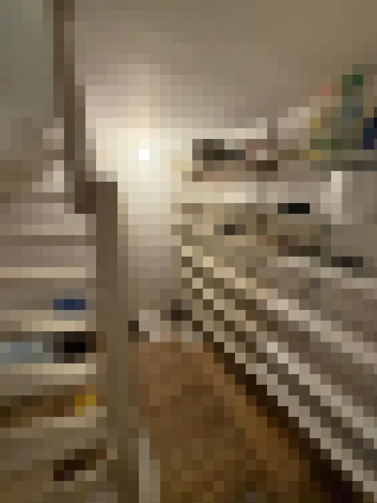 Boschdijk 405 Eindhoven thumbnail 6