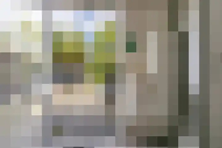 Boschdijk 428 C Eindhoven thumbnail 4