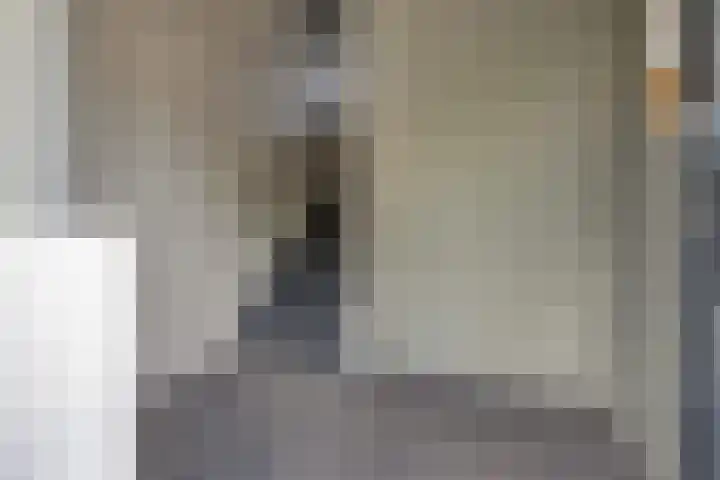 Boschdijk 428 C Eindhoven thumbnail 5
