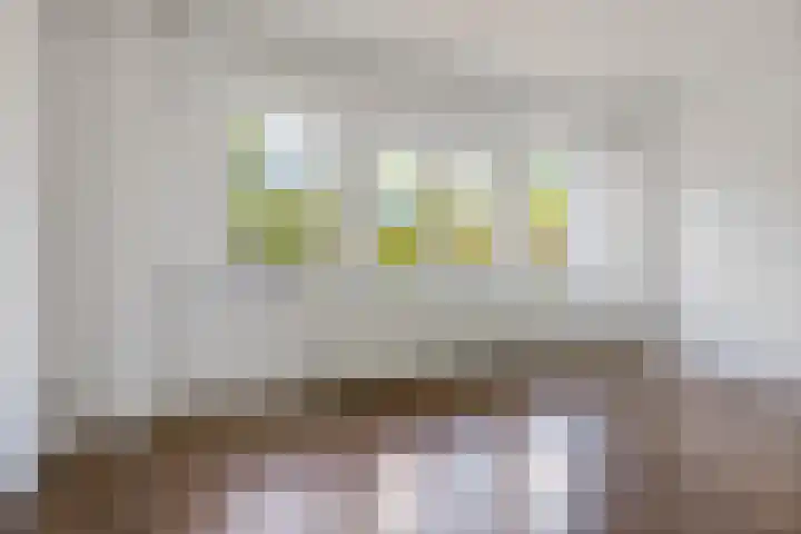 Boschdijk 428 C Eindhoven thumbnail 8