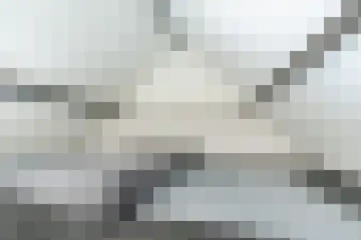 Boschdijk 450 Eindhoven thumbnail 30