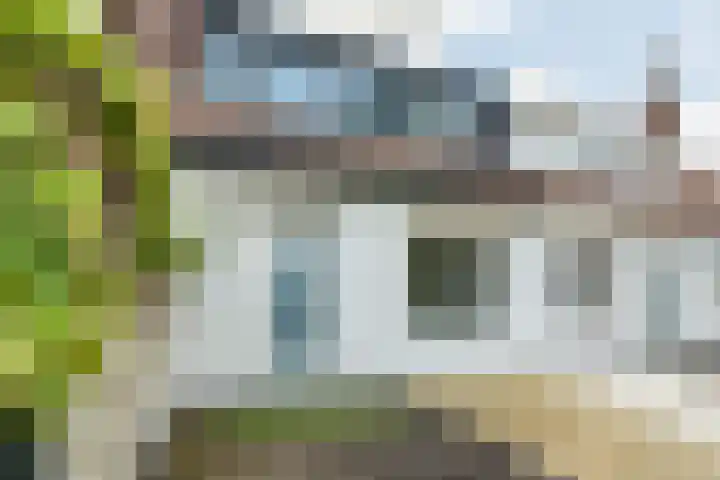 Boschdijk 450 Eindhoven thumbnail 34