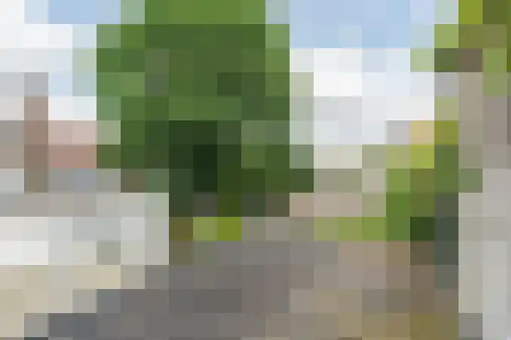 Boschdijk 450 Eindhoven thumbnail 35