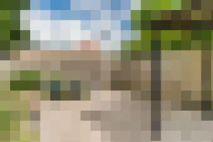 Boschdijk 450 Eindhoven thumbnail 4