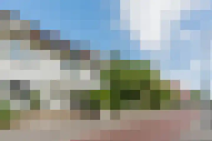 Boschdijk 450 Eindhoven thumbnail 6