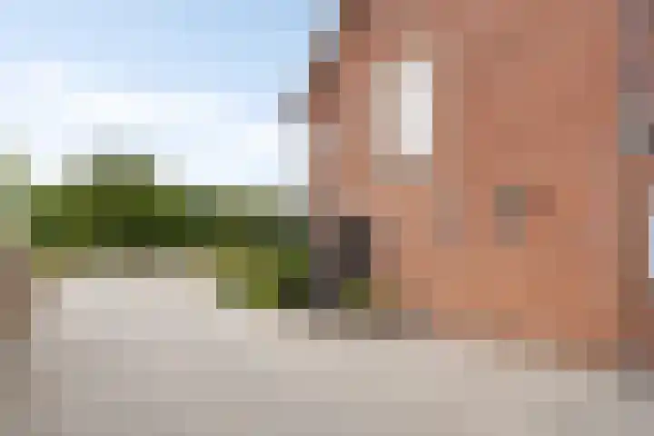 Boschdijk 878 Eindhoven thumbnail 13