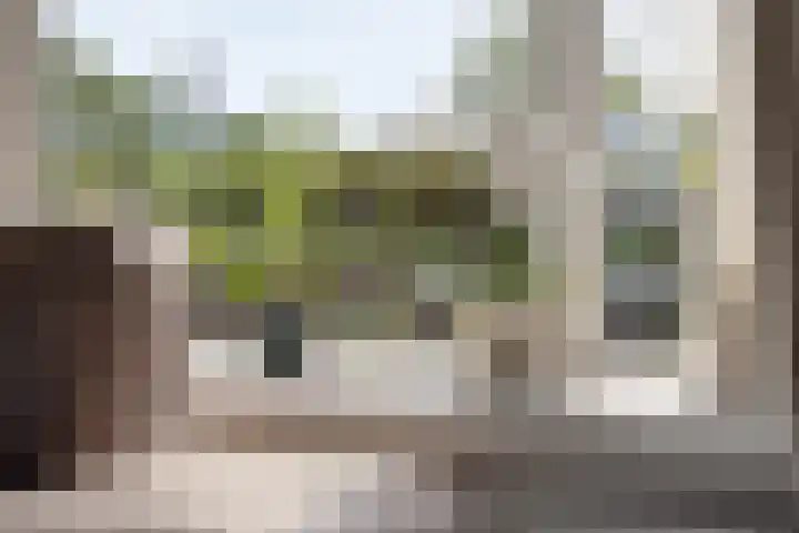 Boschdijk 878 Eindhoven thumbnail 21