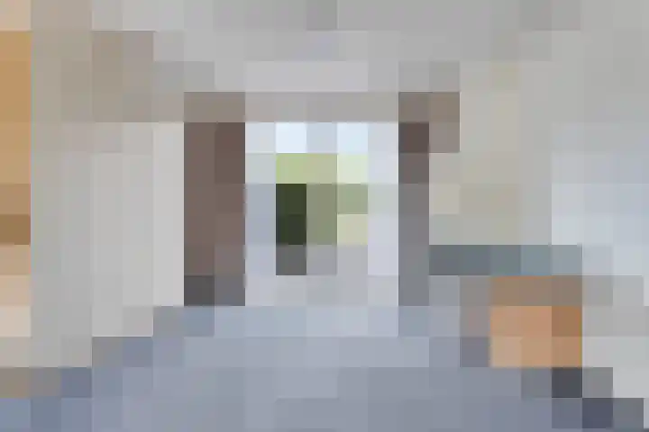 Boschdijk 878 Eindhoven thumbnail 29